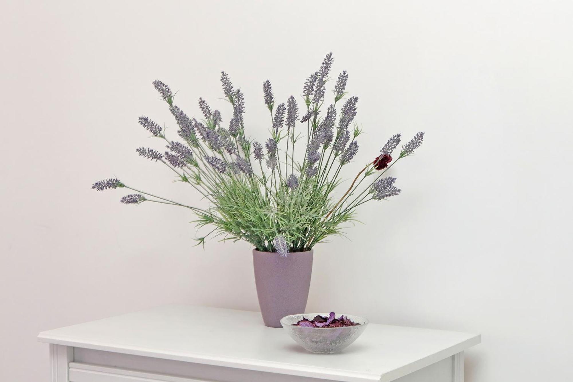 Apartamento Victoria *